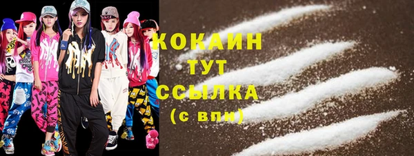 молекула духа Михайлов