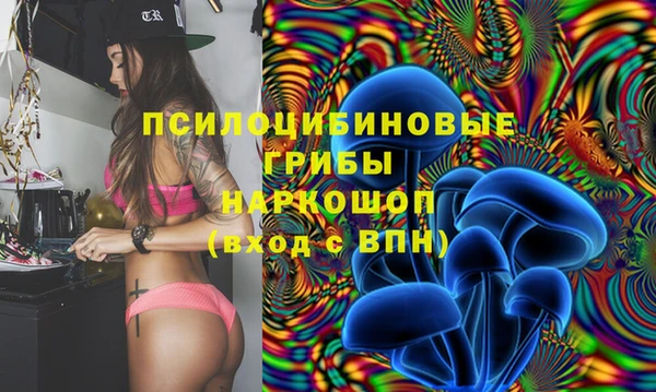 стафф Ельня